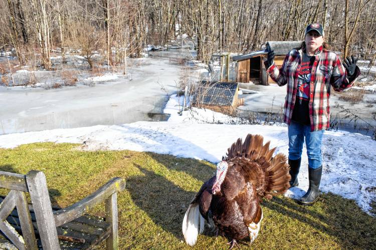 Tessa Dyer stands with her tom turkey, Brewster, in her backyard that is unrecognizable under the water and ice that has engulfed her property in Loudon off of Route 106 on Wednesday.