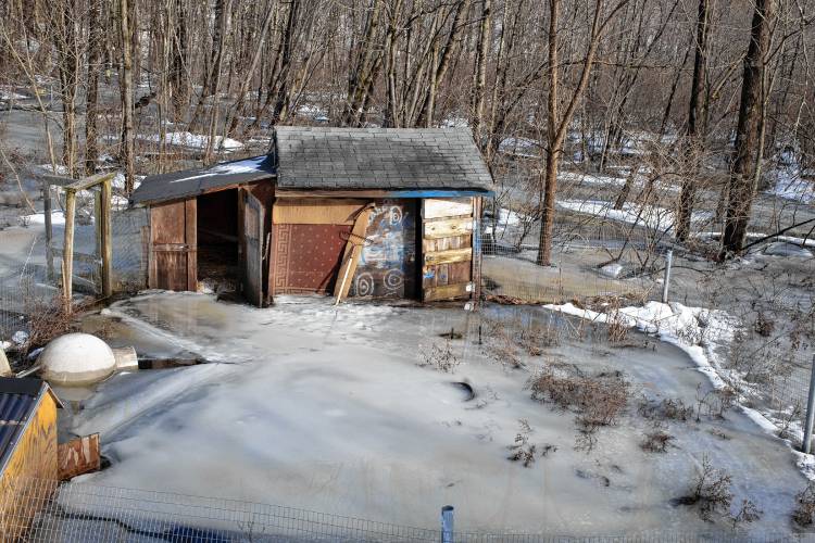 Tessa Dyerâs birds have been flooded out of the coop in her backyard.