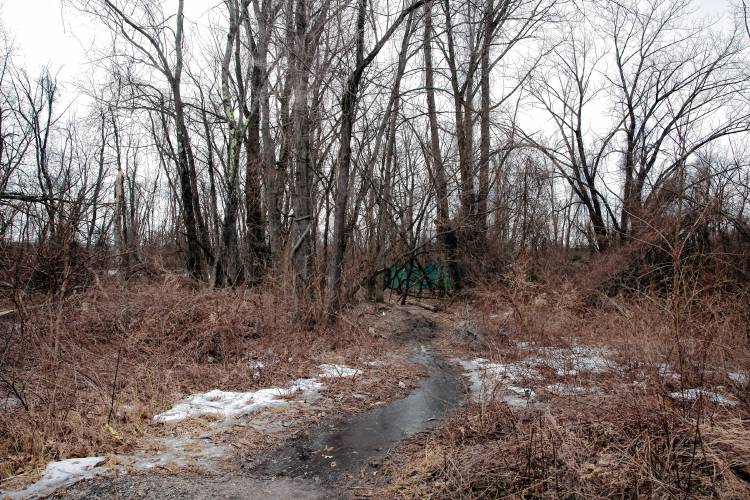 The area off of Blackhill Road in Concord near a homeless encampment on Thursday, February 29, 2024.
