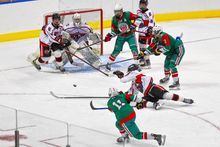 PAC's Cam Plumb fires a shot on net during Saturday's D-III championship game.